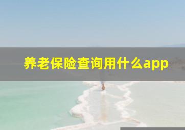 养老保险查询用什么app