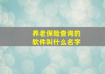 养老保险查询的软件叫什么名字