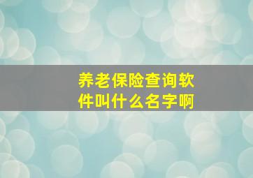 养老保险查询软件叫什么名字啊