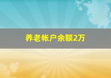 养老帐户余额2万