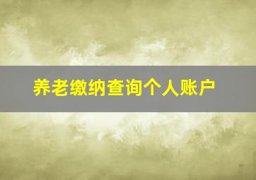 养老缴纳查询个人账户