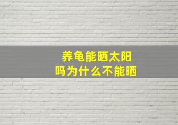 养龟能晒太阳吗为什么不能晒