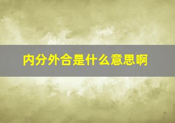 内分外合是什么意思啊