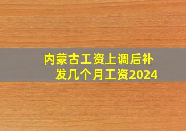 内蒙古工资上调后补发几个月工资2024