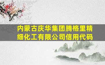 内蒙古庆华集团腾格里精细化工有限公司信用代码