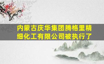 内蒙古庆华集团腾格里精细化工有限公司被执行了