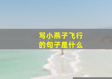 写小燕子飞行的句子是什么