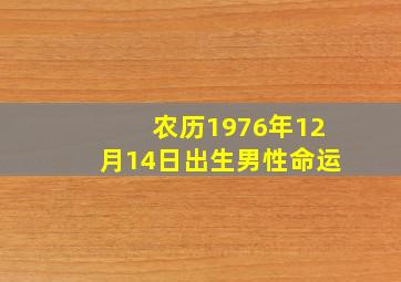 农历1976年12月14日出生男性命运