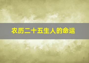 农历二十五生人的命运