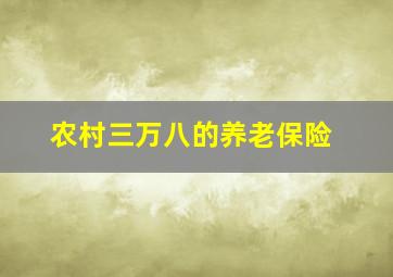 农村三万八的养老保险