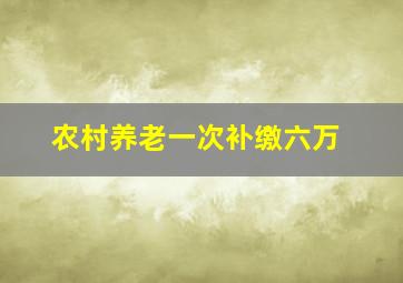 农村养老一次补缴六万