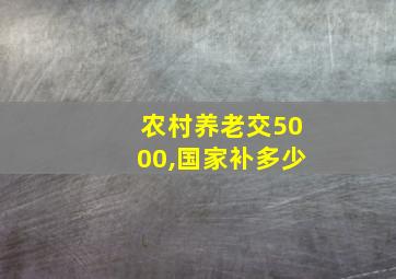 农村养老交5000,国家补多少