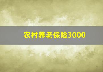 农村养老保险3000