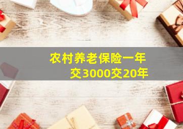 农村养老保险一年交3000交20年