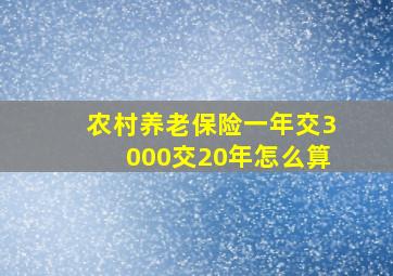 农村养老保险一年交3000交20年怎么算