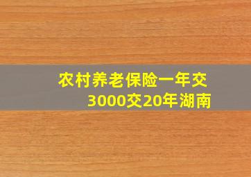 农村养老保险一年交3000交20年湖南