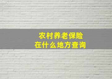 农村养老保险在什么地方查询