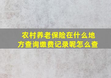 农村养老保险在什么地方查询缴费记录呢怎么查