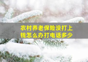 农村养老保险没打上钱怎么办打电话多少