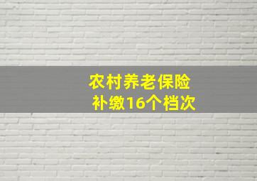 农村养老保险补缴16个档次