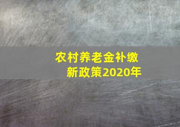 农村养老金补缴新政策2020年