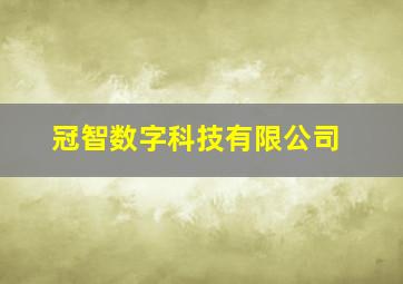 冠智数字科技有限公司