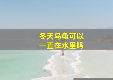 冬天乌龟可以一直在水里吗