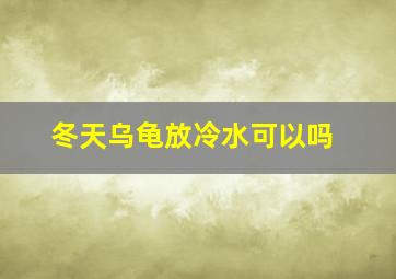 冬天乌龟放冷水可以吗