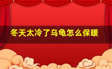 冬天太冷了乌龟怎么保暖