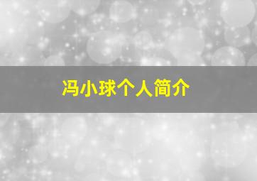 冯小球个人简介