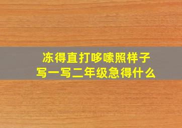 冻得直打哆嗦照样子写一写二年级急得什么