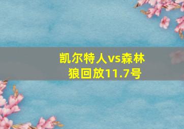 凯尔特人vs森林狼回放11.7号