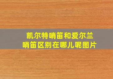 凯尔特哨笛和爱尔兰哨笛区别在哪儿呢图片