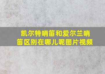 凯尔特哨笛和爱尔兰哨笛区别在哪儿呢图片视频