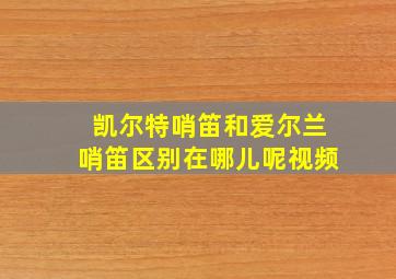 凯尔特哨笛和爱尔兰哨笛区别在哪儿呢视频