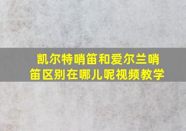 凯尔特哨笛和爱尔兰哨笛区别在哪儿呢视频教学