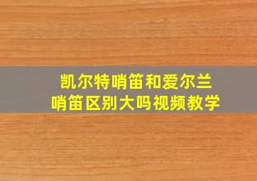 凯尔特哨笛和爱尔兰哨笛区别大吗视频教学