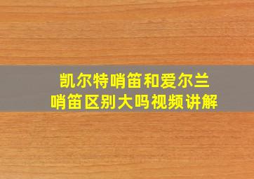 凯尔特哨笛和爱尔兰哨笛区别大吗视频讲解