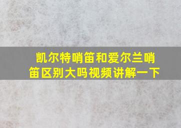 凯尔特哨笛和爱尔兰哨笛区别大吗视频讲解一下