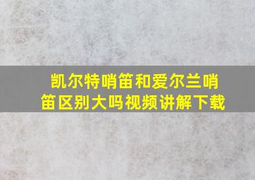 凯尔特哨笛和爱尔兰哨笛区别大吗视频讲解下载