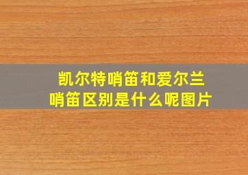 凯尔特哨笛和爱尔兰哨笛区别是什么呢图片