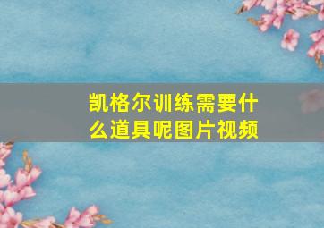 凯格尔训练需要什么道具呢图片视频