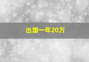 出国一年20万