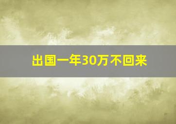 出国一年30万不回来