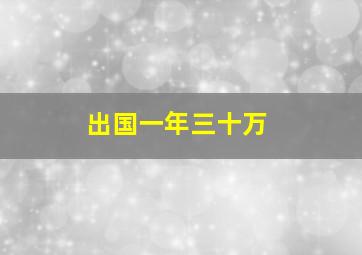 出国一年三十万