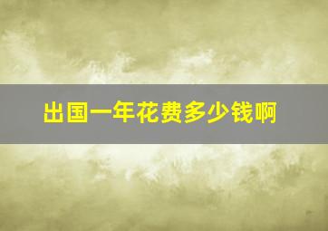 出国一年花费多少钱啊