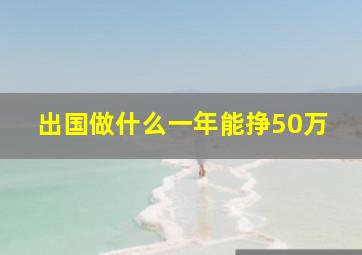 出国做什么一年能挣50万