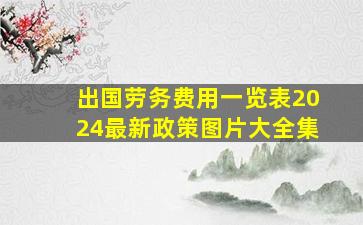 出国劳务费用一览表2024最新政策图片大全集