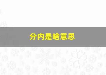 分内是啥意思