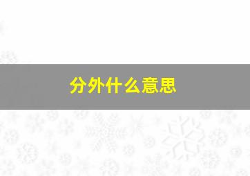 分外什么意思